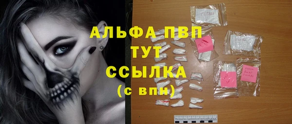 стафф Ладушкин