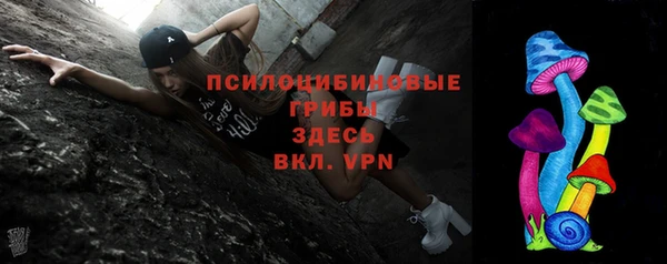 стафф Ладушкин