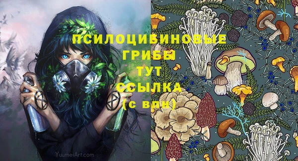 крисы Лагань