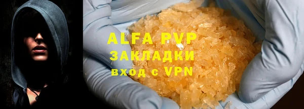 стафф Ладушкин