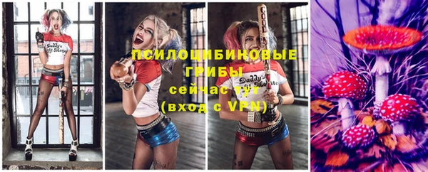 Альфа ПВП Лабытнанги