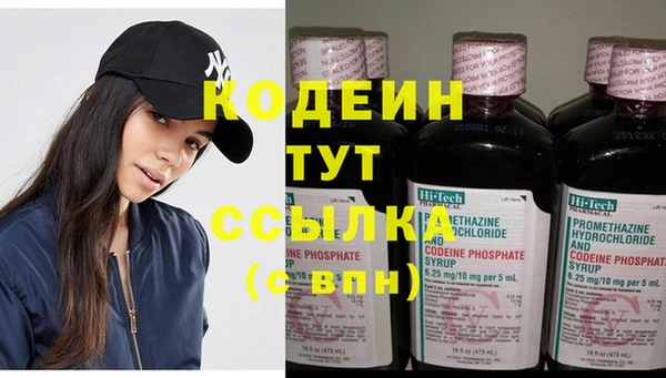 крисы Лагань