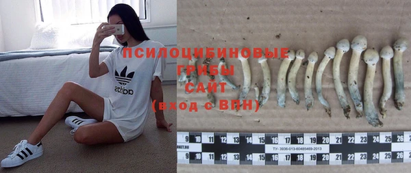 Альфа ПВП Лабытнанги