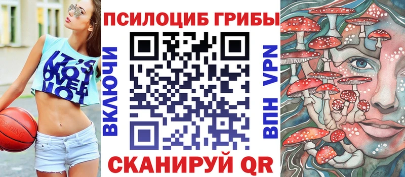 Псилоцибиновые грибы Psilocybe  Купить где  Новоуральск 